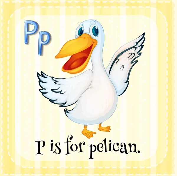 Een letter P voor pelikaan — Stockvector