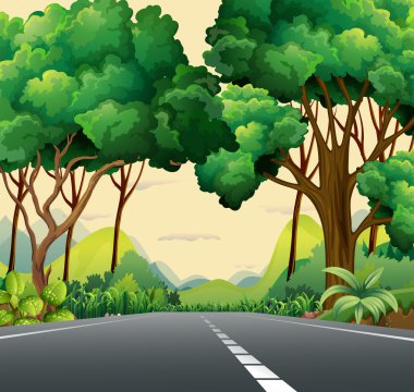 dar bir yol