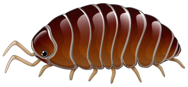 Woodlouse — Stockový vektor