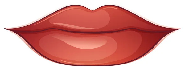 Lips — Stock Vector