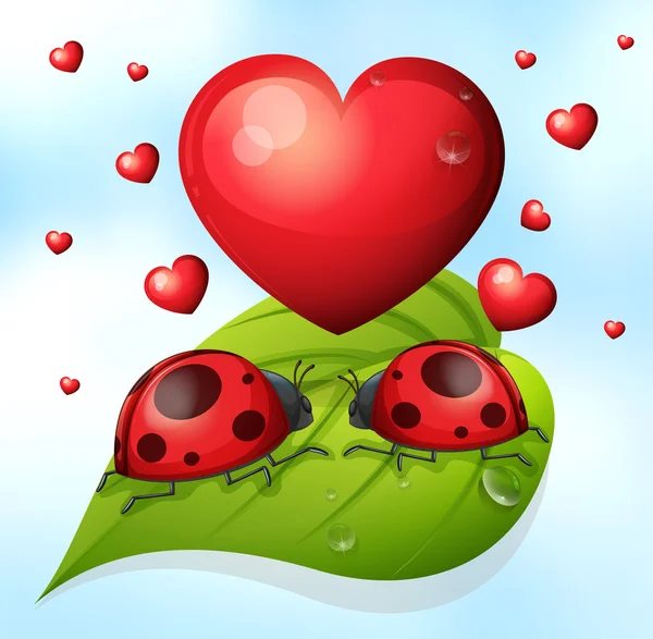 Coccinelles et coeur — Image vectorielle