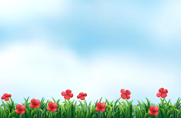 Fleurs en fleurs — Image vectorielle