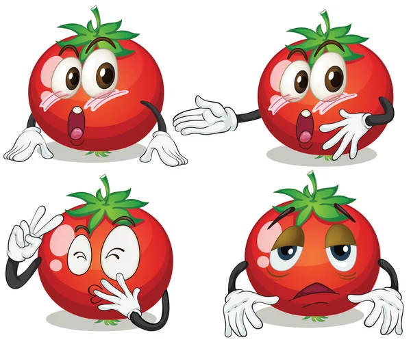 Tomate — Vector de stock