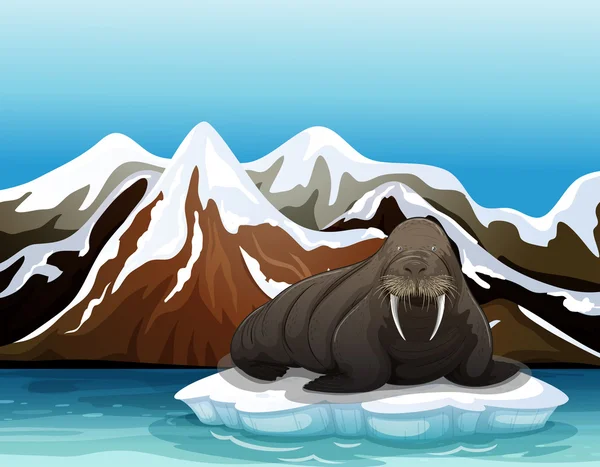 Bir deniz ayısı — Stok Vektör