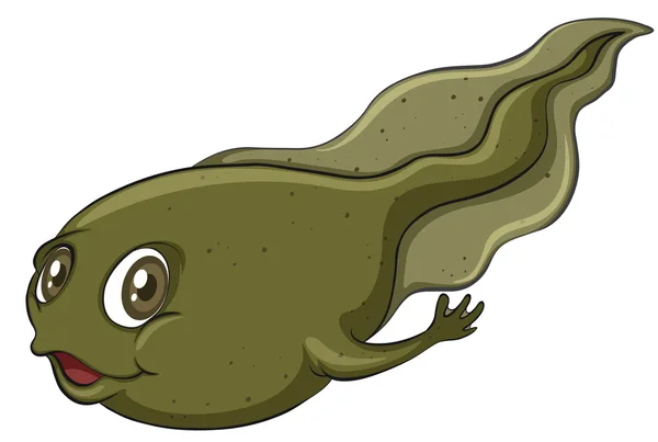 Een tadpole — Stockvector
