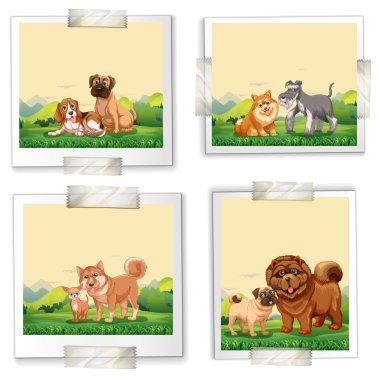 Köpekler