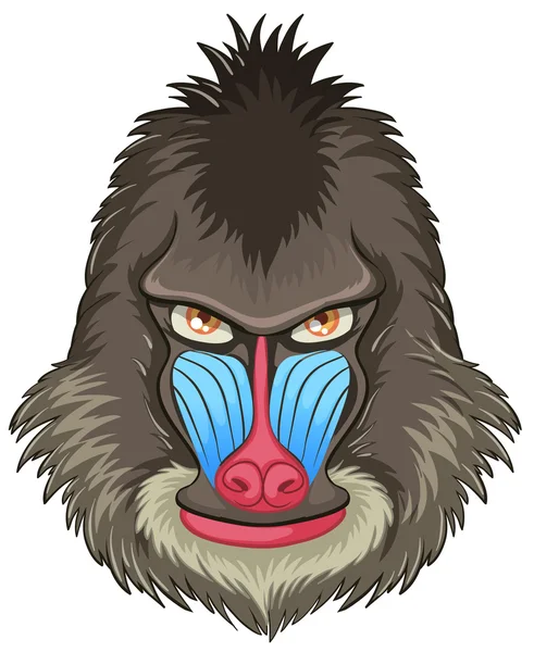 Mandrill babuino — Vector de stock
