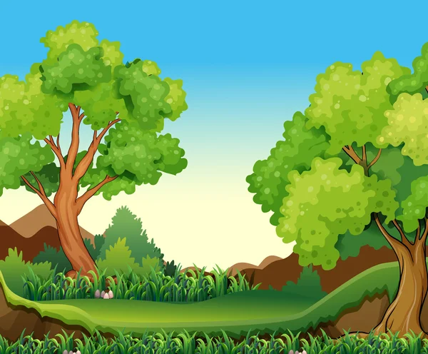 Bosque — Vector de stock