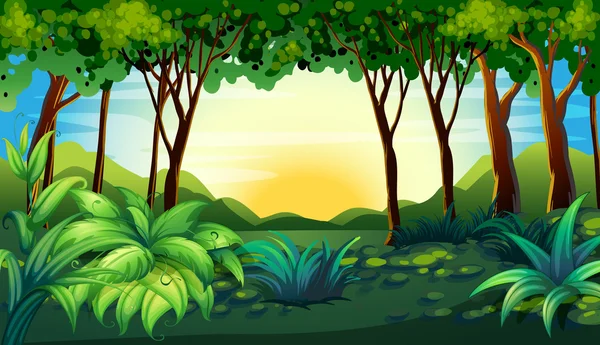 Bosque — Vector de stock