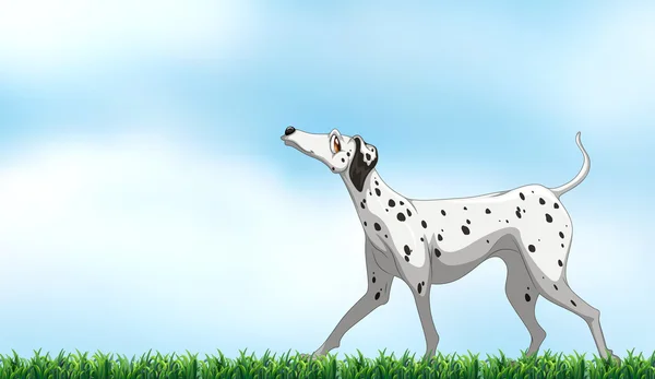 Dalmatien — Image vectorielle