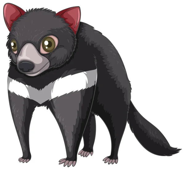 Tasmaniandevils — Stockový vektor