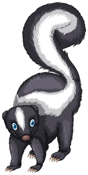 Skunks — Wektor stockowy