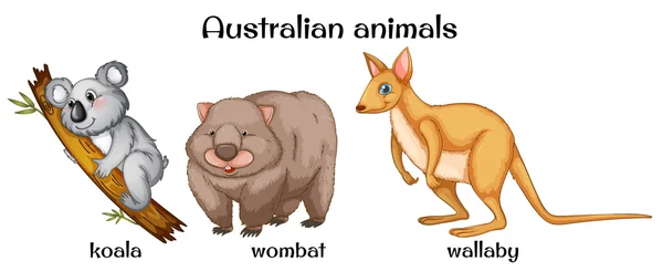Australian animals clipart Vector Art Stock Images | Depositphotos Australian animals clipart Vector Art Stock Images | Depositphotos
