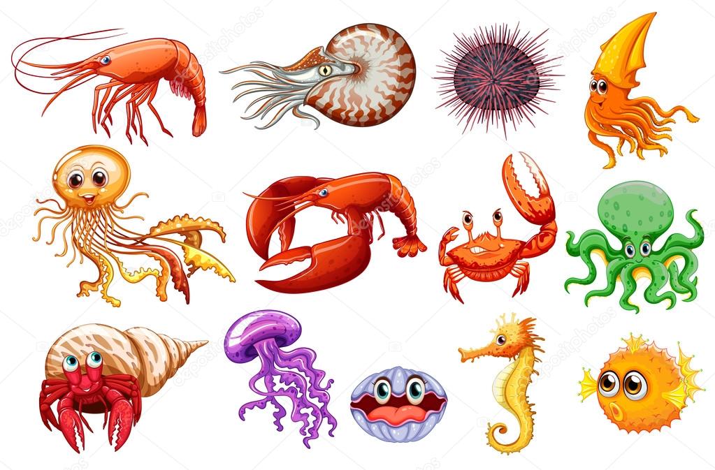 Sea animals