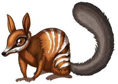 numbat