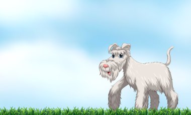 Köpek ayakta alanında