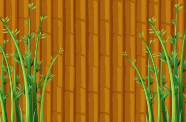 Bambu.