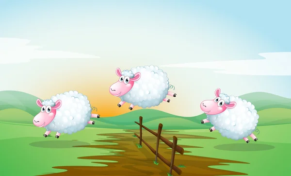 Contagem de ovelhas — Vetor de Stock