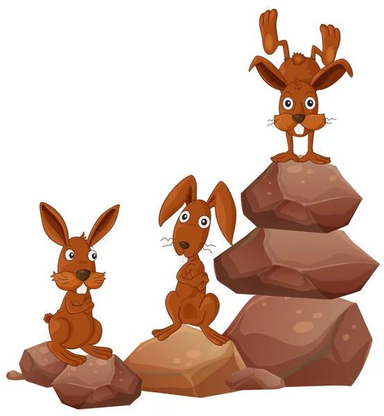 Lapins — Image vectorielle