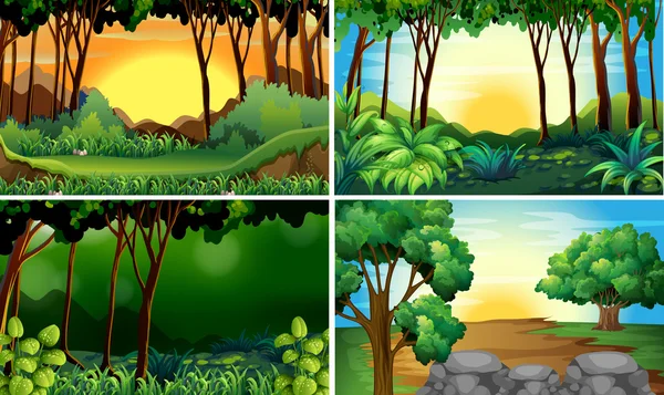 Escenas forestales — Vector de stock