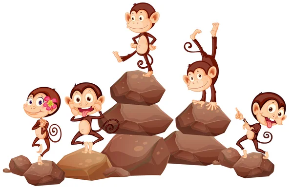 Monkeys and rocks — Stock Vector