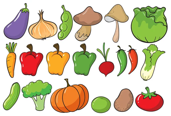 Vegetables — Stock Vector