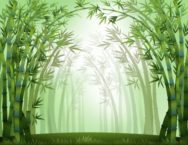 Bambu.