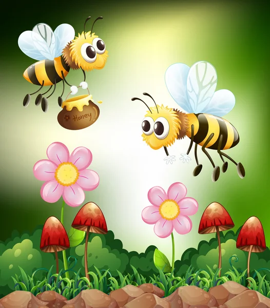 Abeja y miel — Vector de stock