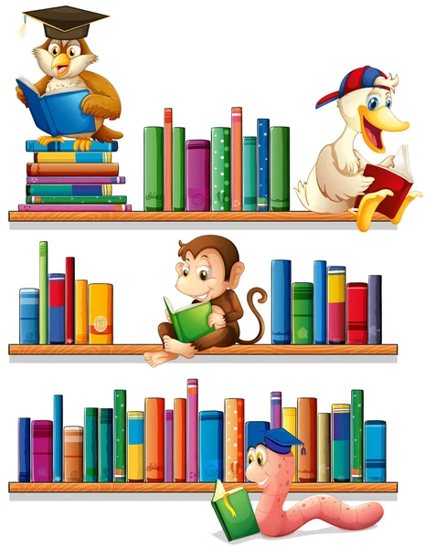 Animais e livros —  Vetores de Stock