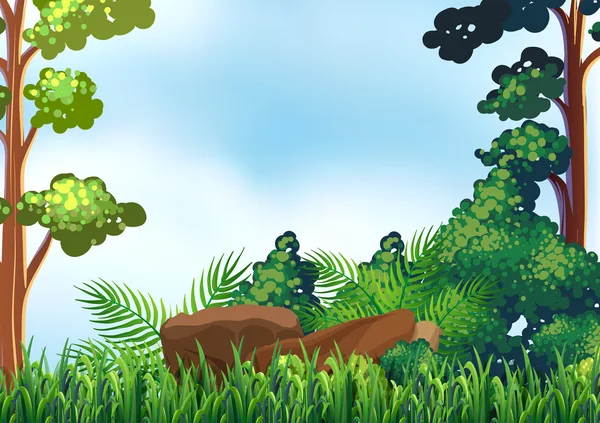 Bosque — Vector de stock