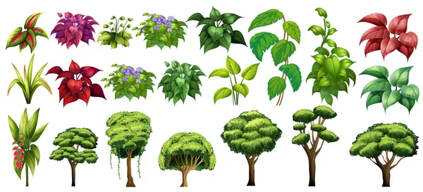 Stromy a květiny — Stockový vektor