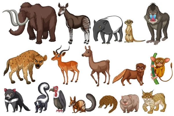 Рідкісних тварин — стоковий вектор
