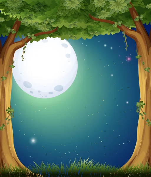 Forest en fullmoon — Stockvector