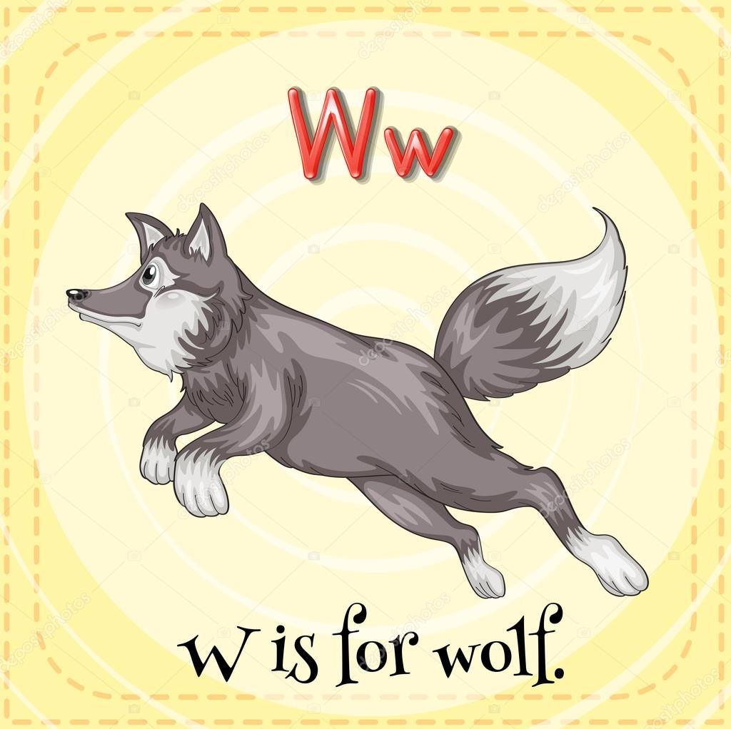 карточки животных для детей. карточки по английскому языку волк. карточка по английскому волк. волк карточка для детей. как пишется волк по английски.