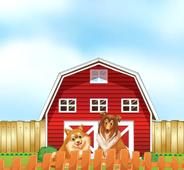 Dogs and barn — Stock Vector