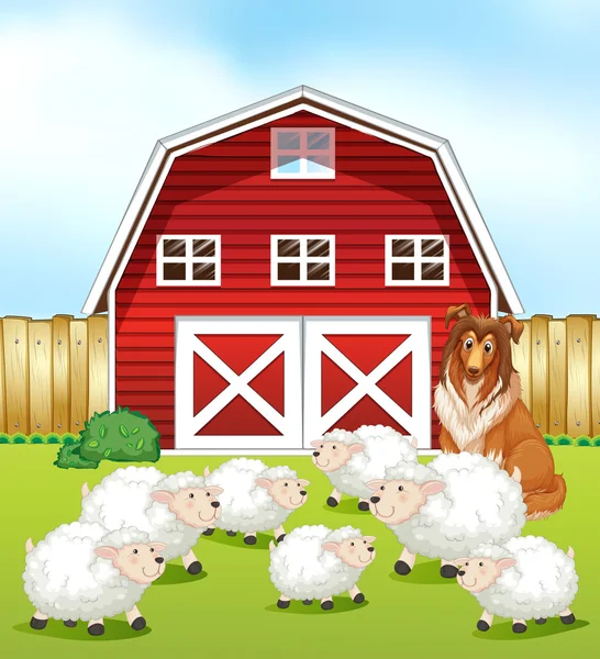 Sheep and barn — Stock Vector