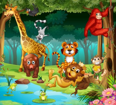 Animals and forest