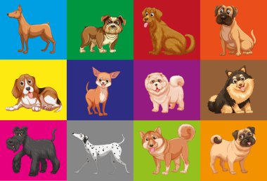 Köpekler Meydanı'nda
