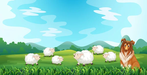 Moutons et chiens — Image vectorielle