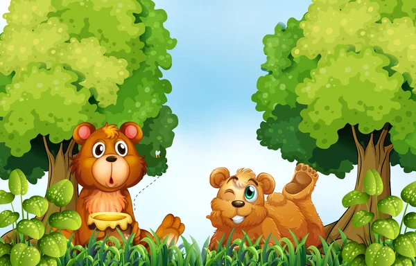 Medvék és az erdő — Stock Vector