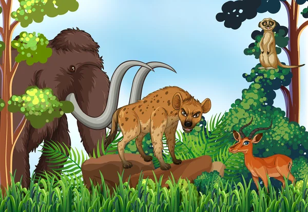 Animales y selva — Archivo Imágenes Vectoriales