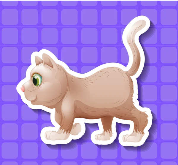 Kitten — Stock Vector