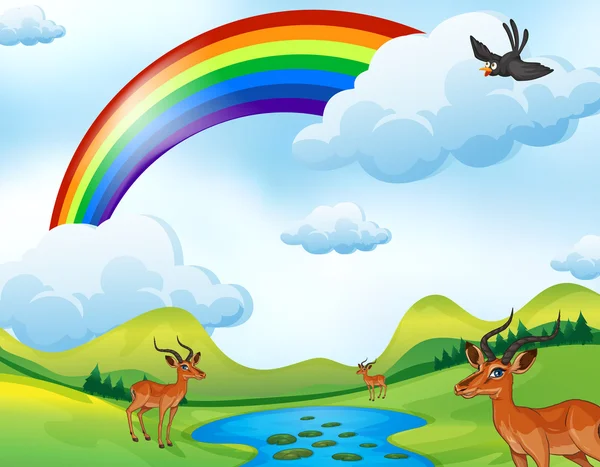 Deers and rainbow — Stock Vector