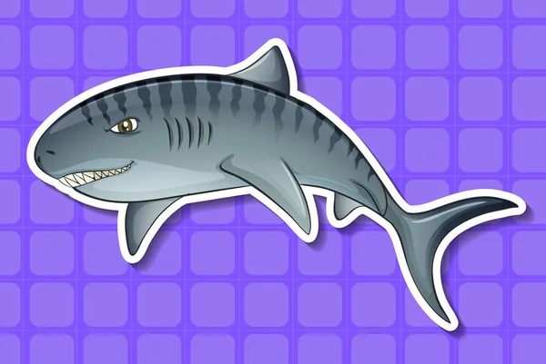 Акула — стоковий вектор