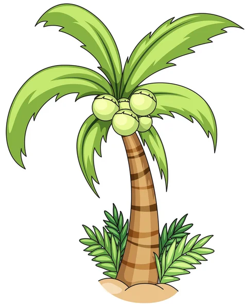 Árbol de coco — Vector de stock