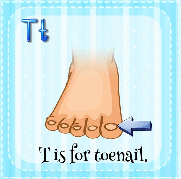 Toenail — Διανυσματικό Αρχείο