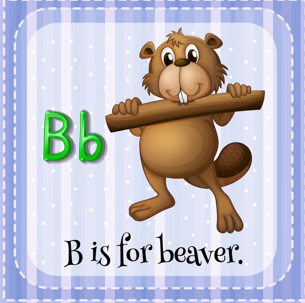 Beaver — Stock Vector
