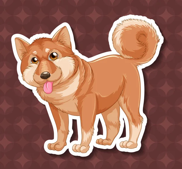 Shiba — Wektor stockowy