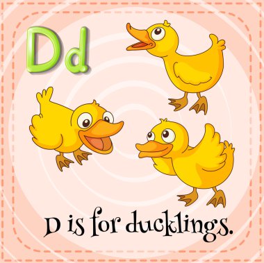 Flashcard D ördek yavrusu için harftir.
