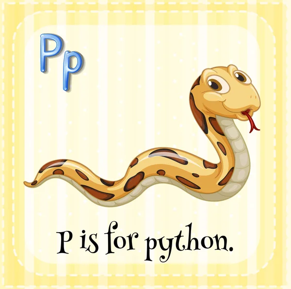 Tanulókártya P betű van a python. — Stock Vector